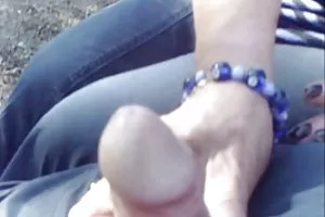 森の中の角質のゲーム